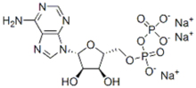 Adenosine 5'-diphosphate sodium salt CAS 20398-34-9