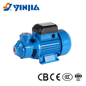 0.5 HP Peripheral Pump