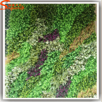 Professional design plastic green wall vertical garden green wall