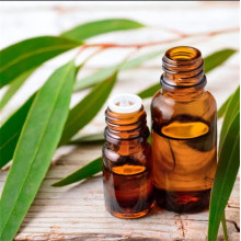 Therapeutic Grade Eucalyptus Globulus Essential Oil