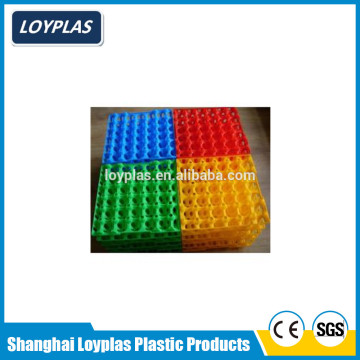 custom colorful plastic egg shell