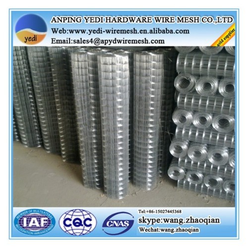 cheap price galvanized welded mesh