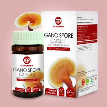 Ganoderma Lucidum/reishi mushroom Spore Powder Capsules