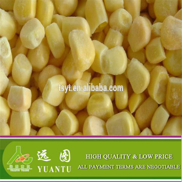 High Quality Delicious Frozen Sweet Corn Kernel Hot Sale