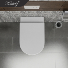 Chinese Rimless Wall-Hung WC Toilet