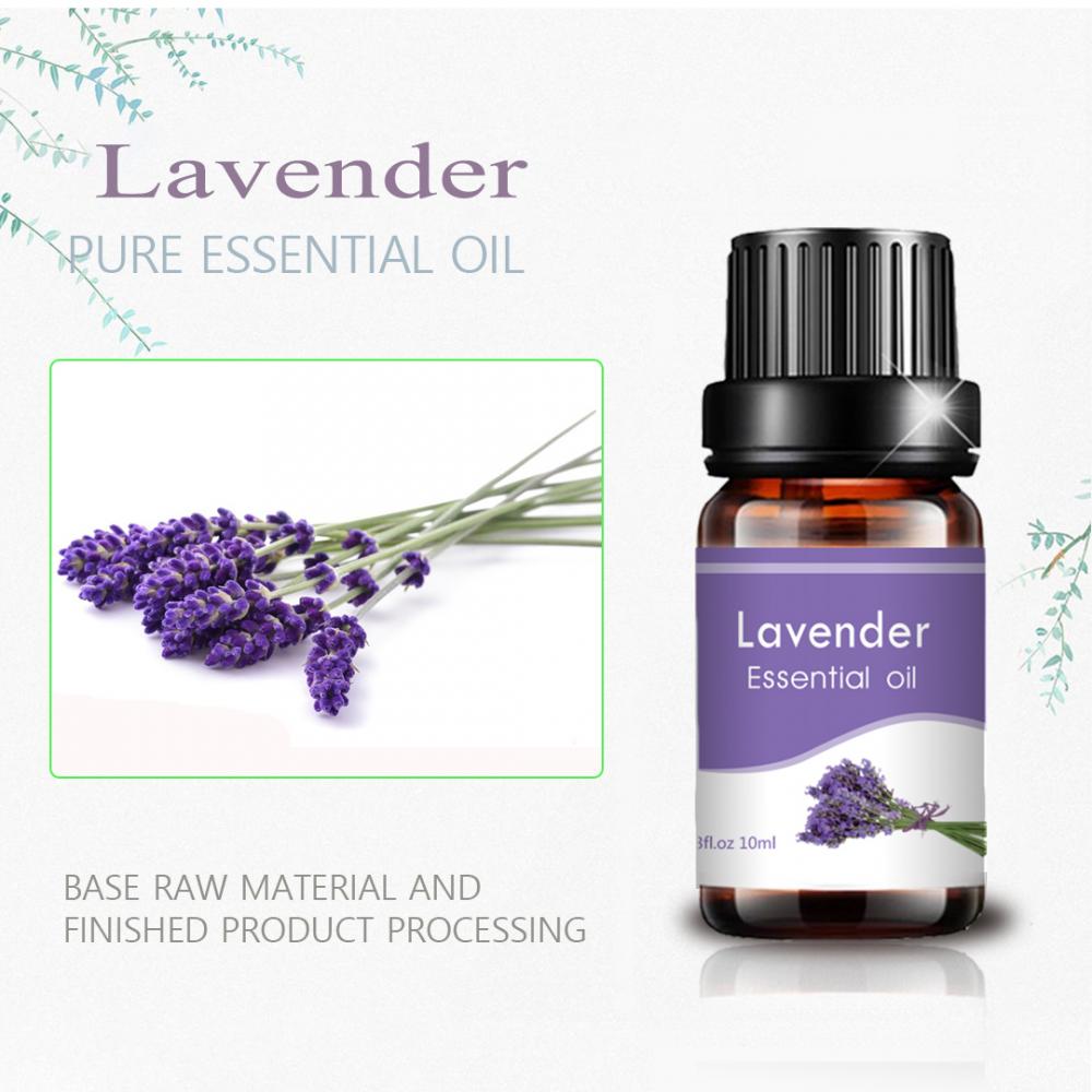 100% Minyak Esensial Lavender Tidur Alami Murni