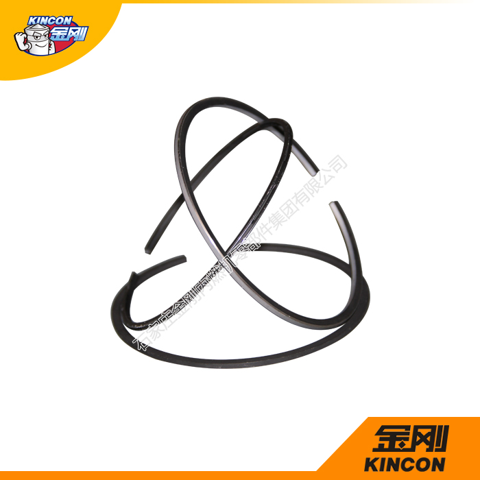 Piston Ring Assembly