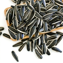 Black striped sunflower seeds601