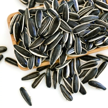 Black striped sunflower seeds601