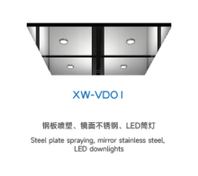 Elevator Ceiling Series XW-VDO1