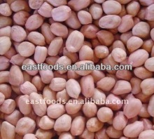 Shandong peanut kernels 24/28