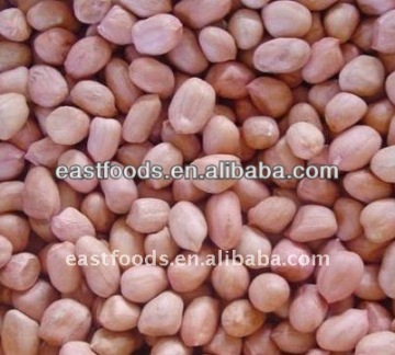 Shandong peanut kernels 24/28