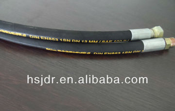 SAE/DIN Hydraulic Hose Assembly