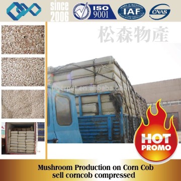 Abrasive Corn Cob grit for polishing