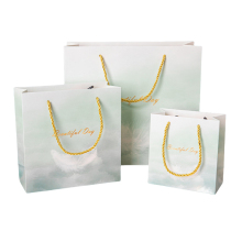 biodegradable paper bag for shopping