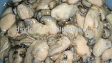 Frozen Pacific Oyster Meat