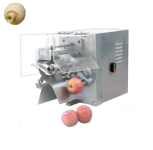 Fruit Apple Peeler Cutter Apple Coring And Slicing Machine