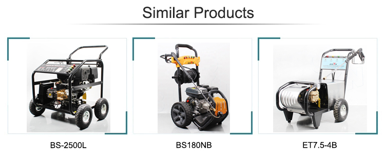 BISON BS180D Washing Machine High Pressure Washer High Pressure Water Pump For Car Wash