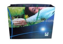 Printed Paper Bag Printing With PP Handle