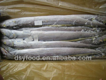 frozen ribbonfish fish