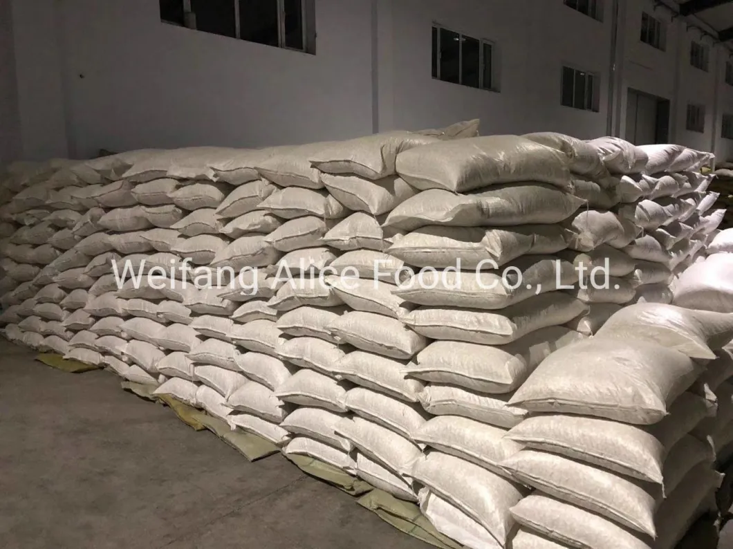 Wholesale Xinjiang Walnut Price Cheap Walnut in Shell