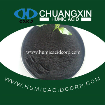 Humic acid organic and natual fertilizer in soil