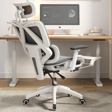 Affordable Ergonomic Executive Office Chairs with Mesh Design