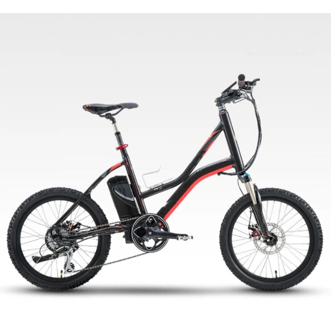 Cheap Folding E Bike