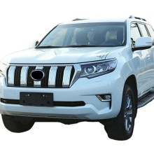 Car Front Grill Middle Net Trims Front Grille Grid Net Cover Trim For Toyota Land Cruiser Prado J150 150