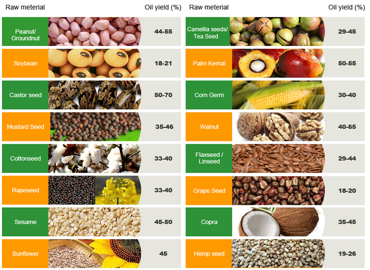 5-7T/Day heating and filter big oil moringa pressers mustard oil cinnamon