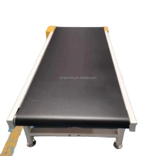 Adjustable Speed Electrical Belt Conveyors for Logistics Warehouse