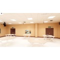 Environmentally Friendly Wood Veneer Acoustic Panels