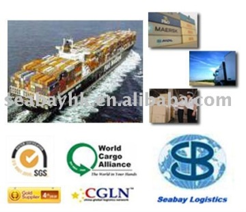 Sea cargo service,logistics service from China to Namibia/Worldwide