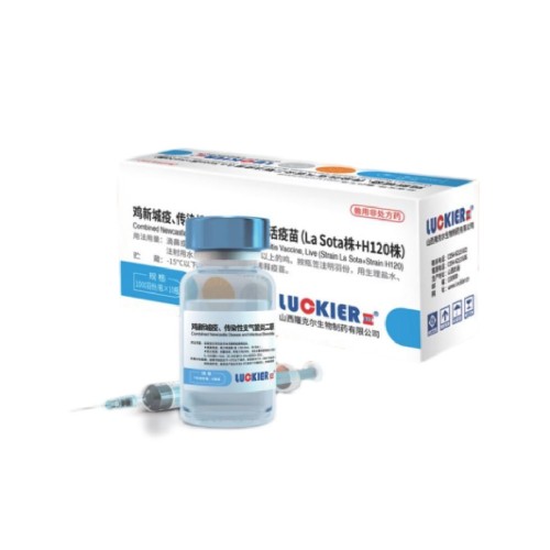 ND+IB Live Vaccine La Sota + H120