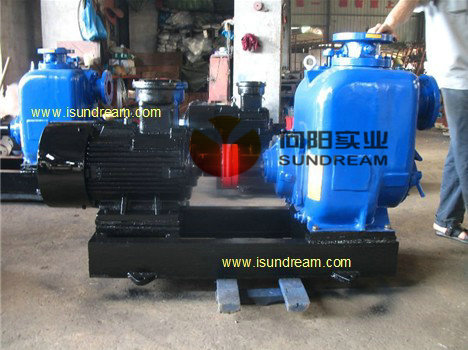 Heavy Duty Water Pump/ High Capacity Water Pump