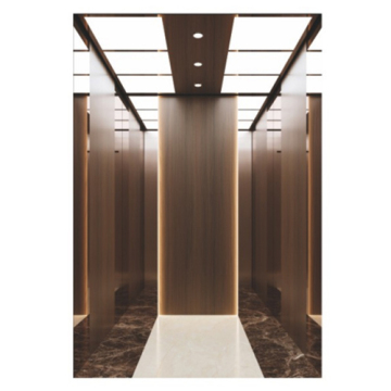 Domestic residential passenger elevator