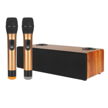 2024 New Arrival TV3.2 Wireless Microphones Karaoke Speaker with Dual UHF Rechargeable Microphones
