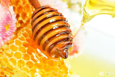 صحية عسل النحل عباد الشمس النقي الأصلي