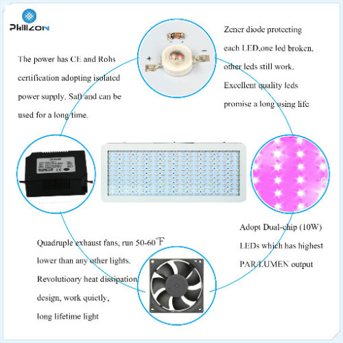 Hot Sale Led Grow Light for Growing Vegetables