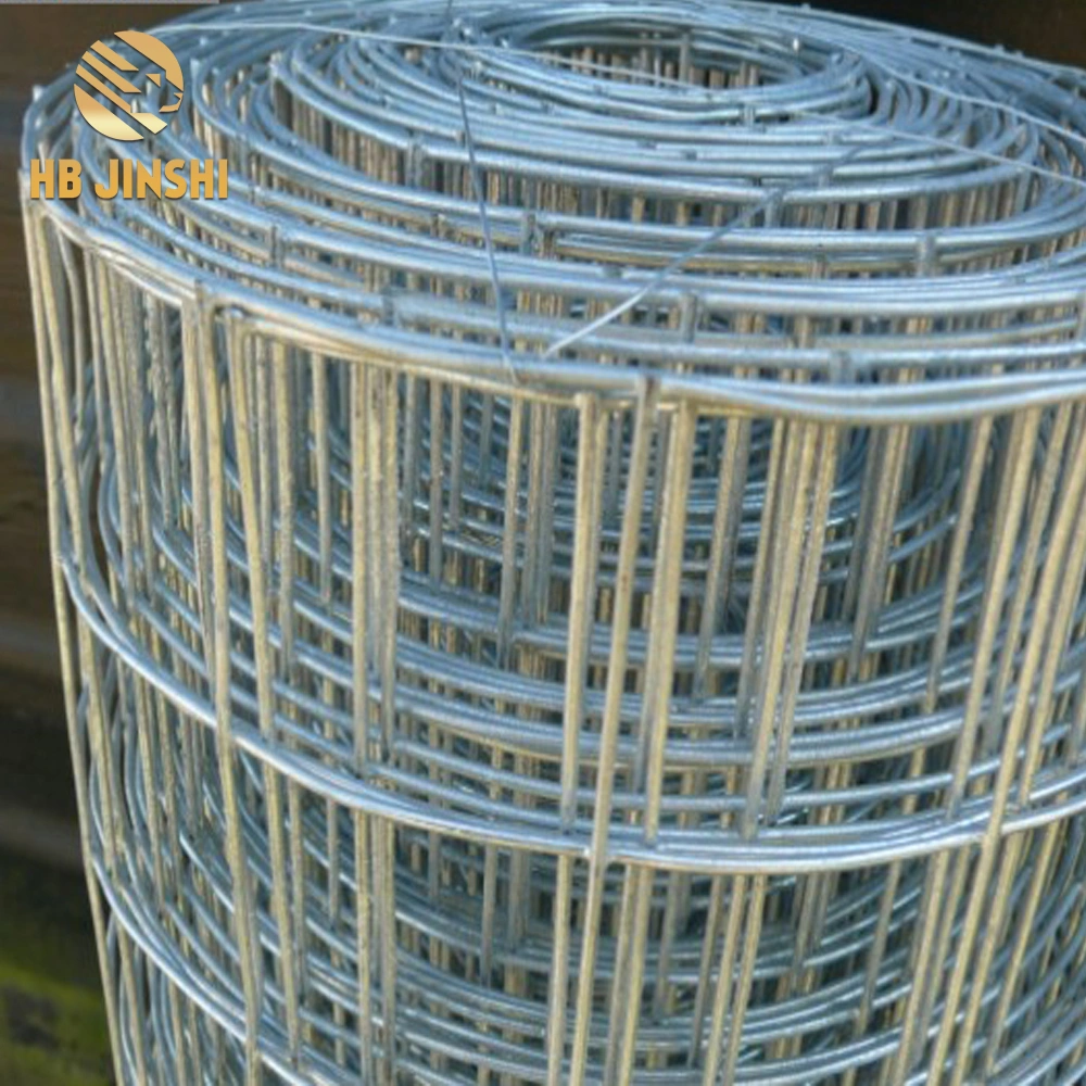 Welded Type Galvanized Square Welded Wire Mesh