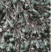 Shaggy Rug (LES-006)