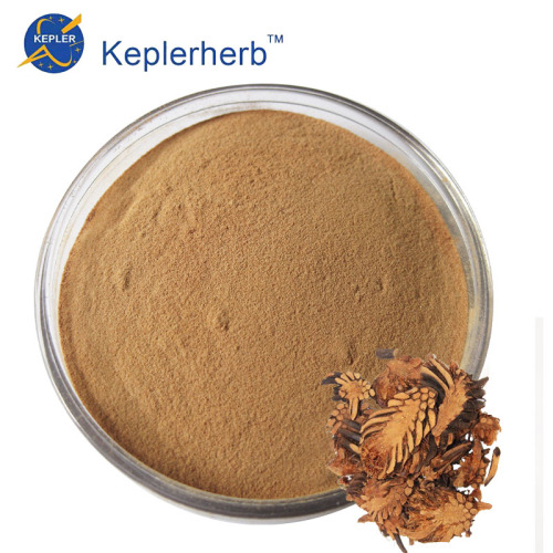 Cyrtomium Rhizome Extract Powder