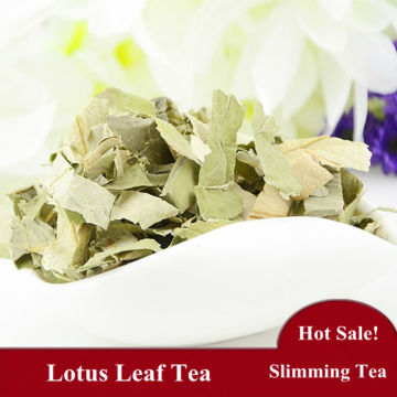 Slimming Weight Loss Lotus Leaf Tea