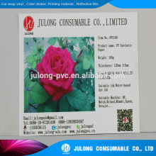 PP paper , pp synthetic pape 120g