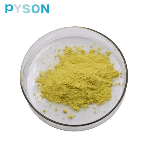 สารสกัดจาก Sophora Japonica 95% Quercetin Powder