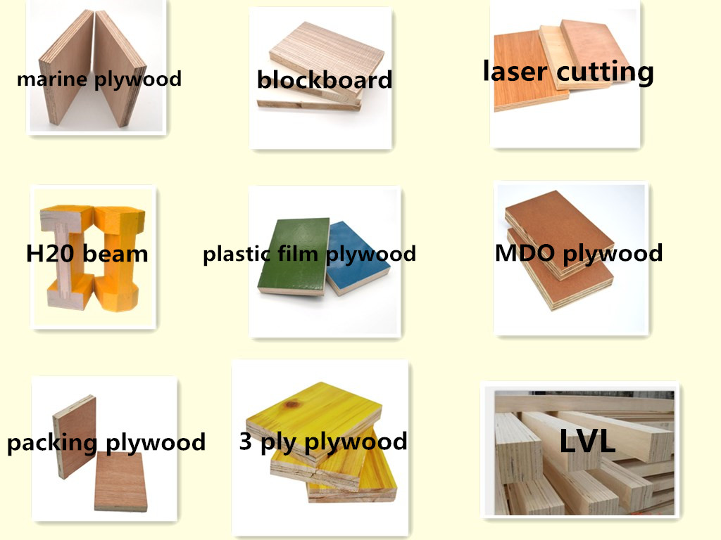 Singerwood 12mm thickness paulownia laminated board 2x4 lumber design with CARB certificate