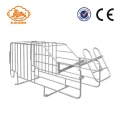 Most popular hot galvanized gestation stall