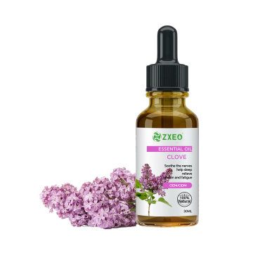 Organic Pure Natural Clove Essential Oil Clove Bud flower Oil Clove Oil for Teeth Oral Care