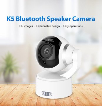1080P Wireless Speaker Vedio Monitoring IP Security Camera