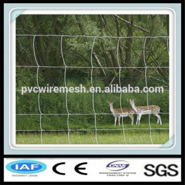 Hot dipped galvanized wire fencing horses